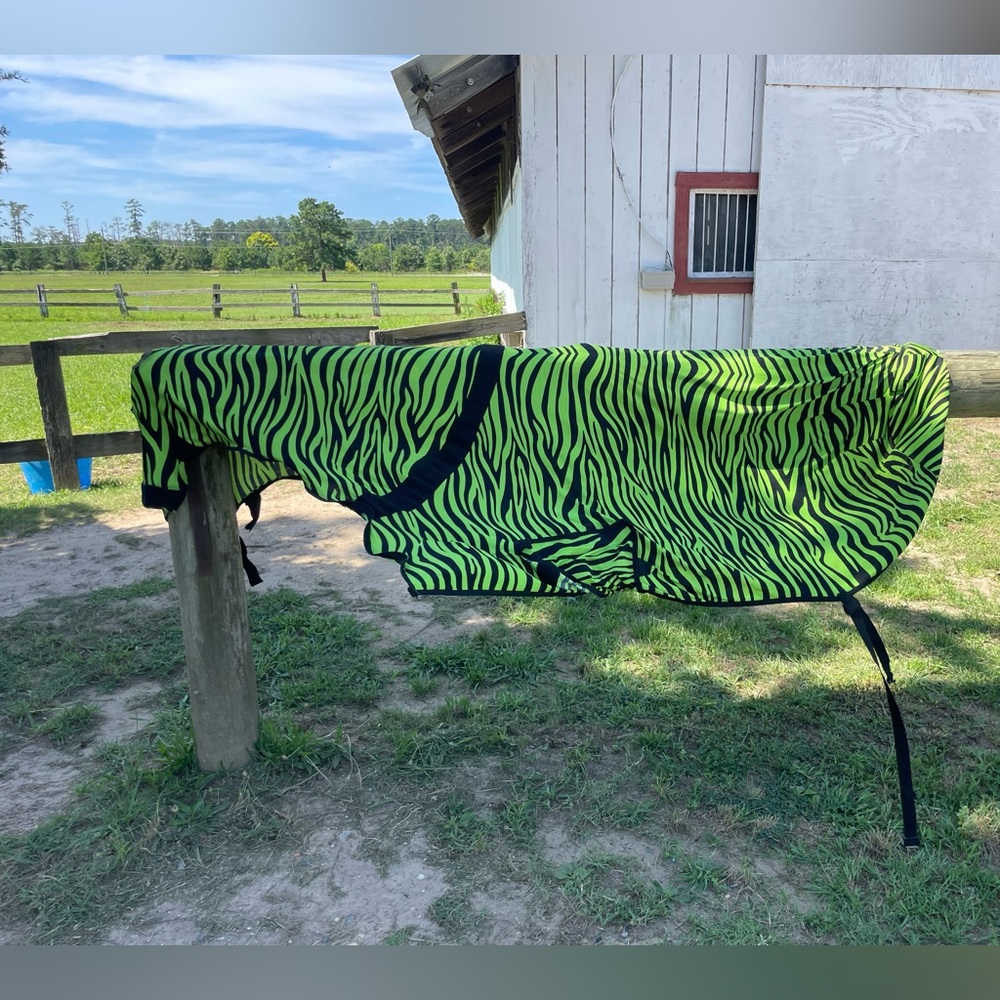 Green Zebra Print Horse Slinky